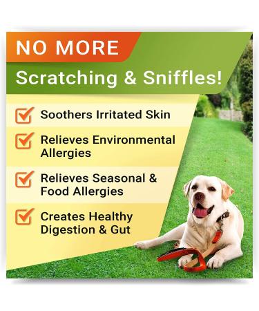 STRELLALAB Allergy Relief Dog Treats with Omega 3, Pumpkin, Enzymes, and Turmeric - Itchy Skin Relief - Made in USA Chicken - 120 Count - Buy Online on GoSupps.com