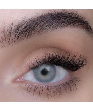 SWEED T te T te False Lashes - Vegan Cruelty-Free Brown Lashes | Clean Beauty for International Shipping - Buy Online on GoSupps.com