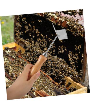 POPETPOP 2pcs King Partition Cleaning Shovel Beehive Cleaning Shovel Beehive Shovel Cleaner Italian Bee 21x6.2cmx2pcs As Shownx2pcs - Buy Online on GoSupps.com