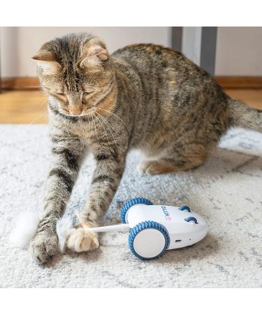 Kittio Robo Mouse: Interactive Cat Toy with Smart Steering Sensors - USB Charging - Buy Online on GoSupps.com