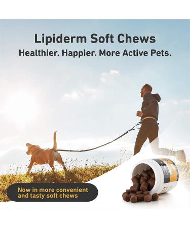 International Veterinary Sciences Lipiderm Soft Chews for Healthy Skin & Coat - Natural Chicken Flavor - 90 Count - Buy Online on GoSupps.com
