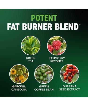 Men s Fat Burner Gummies for Weight Loss | Green Tea Green Coffee Bean Garcinia Cambogia & Ketones | Belly Fat Burner for Men Weight Loss Gummies | Apple Flavored Pectin-Based | 60 Gummies - Buy Online on GoSupps.com