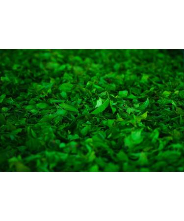 Dethlefsen Balk teemando Green tea mixture Sencha in balance lemon nut flavored 1 kg - Buy Online on GoSupps.com