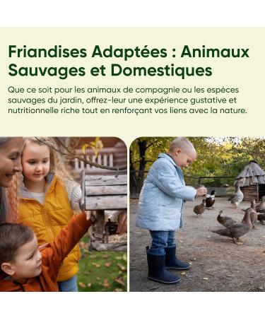 French Dehydrated Flour Worms - Food for Birds Fish Turtles Rodents Hedgehogs and Reptiles (5 kg) - Buy Online on GoSupps.com