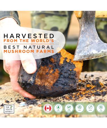 The Youth Effect Mushroom Coffee Infused with Organic Lion's Mane Bacopa & Rhodiola. Mushroom Coffee for All-Day Productivity & Creativity + Think + Mindfulness Low Caffeine Coffee Substitute. (100g 50 Servings MADE IN CANADA) - Buy Online on GoSupps.com
