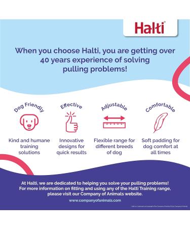 Halti Head Neck Band & Training Leash Combi Pack - Stop Dog Pulling on Walks - Size 5 Black Head Collar & Double Leash - Buy Online on GoSupps.com
