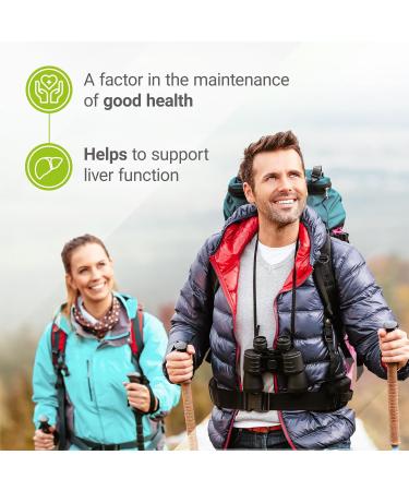 Nested Naturals Choline Bitartrate 500mg | High Potency Choline Supplements | Supports Cognitive Performance & Liver Function | 100% Vegan & Non-GMO Choline | 90 Vegan Capsules - Buy Online on GoSupps.com