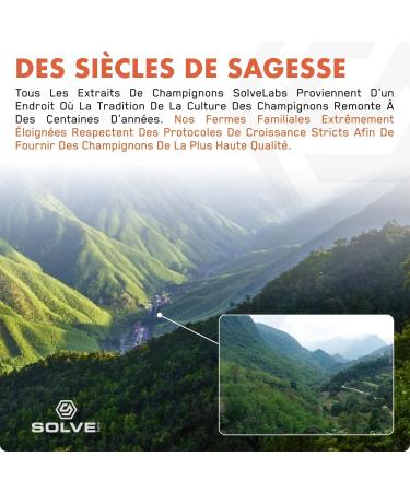 Solve Labs Premium Reishi Extract Powder 51% Beta-D-Glucans Extract 10:1 Zero Load and Additive 100G 3 Months Supply - Buy Online on GoSupps.com