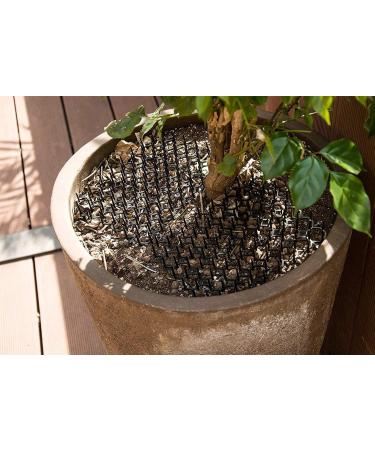 24 Pcs 8.47 x 6.3inch Cat Scat Mat with Plastic Spikes Cat Deterrent Mats Scat Mat for Cats Pest Prickle Strips from Digging Include 10 Staples and 10 Zip Ties - Buy Online on GoSupps.com