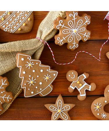 Plants & Spices - Gingerbread Mix - 100% Natural - Resealable Biodegradable Freshness Bag (100g) - Buy Online on GoSupps.com