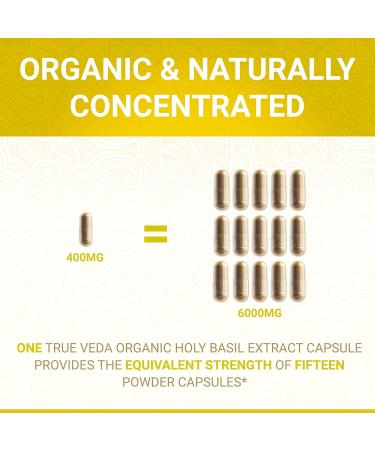 Holy Basil Capsules | USDA Organic Vitamin B6 | High Strength with 2.5% Ursolic Acid | Tulsi Holy Basil Leaf Extract | 15:1 Concentration | Herbal Supplement - 60 Vegan Pills - Buy Online on GoSupps.com