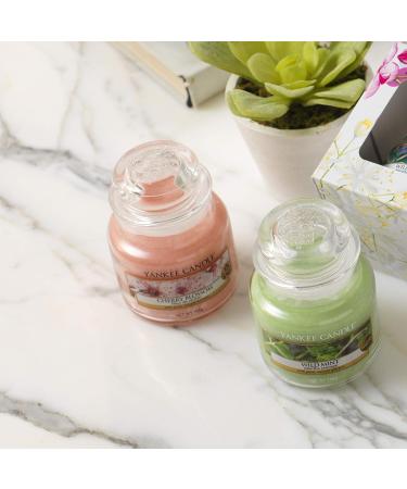 Yankee Candle Cherry Blossom Scented Candle - Small Glass 30 Hour Burn Time | International Shipping Available - Buy Online on GoSupps.com