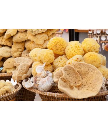 Natural Bathing Sponge - Tom & Pat Silk Sponge with Cord & Glass Trailer | Premium Quality Ideal Baby Sponge & DIY Natural Soap eBook - Buy Online on GoSupps.com