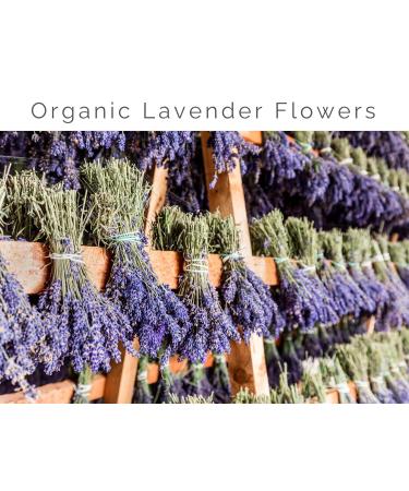 LAVENDER LANE Organic Whipped Tallow Cream - Herb Infused Olive Oil 100% Grass Fed Beef Tallow Face and Body Moisturize (Lavender) - Buy Online on GoSupps.com