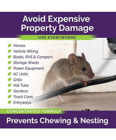 Rodent Repellent Spray 2X Strength - Peppermint Oil - MAX Power for Home, RV, Car, Camper, Boat - Natural Mouse & Rat Repellent (2 Pack) - Buy Online on GoSupps.com