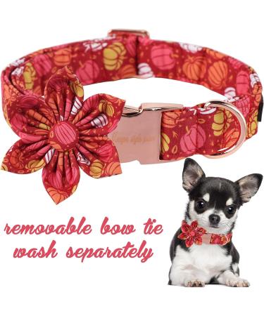 Unique Style Paws Halloween Dog Collar - Comfortable Cotton Flower Design for Small Dogs - XS Pumpkin Collar with Metal Buckle (8-12in) - Buy Online on GoSupps.com