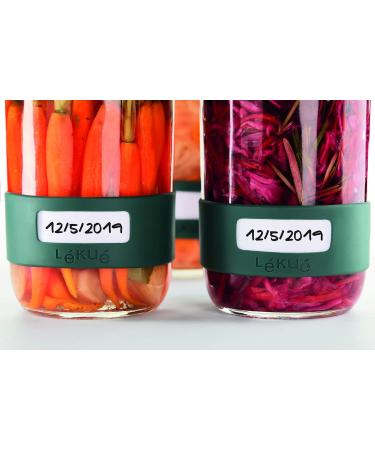 L ku - 3000100SURM017 Tool kit for preparing homemade pickles with container Green Single 700 ml Utensil Kit - Buy Online on GoSupps.com
