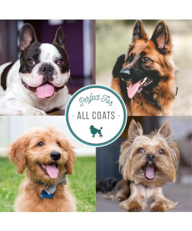 Natures Specialties Aloe Premium PET Shampoo 473ml - Best Organic Dog Shampoo for Healthy Skin & Coat | International Shipping Available - Buy Online on GoSupps.com