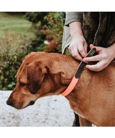 HUNTER Convenience Comfort Dog Collar - Neon Orange Neoprene 45 cm | Durable & Stylish for International Shipping - Buy Online on GoSupps.com