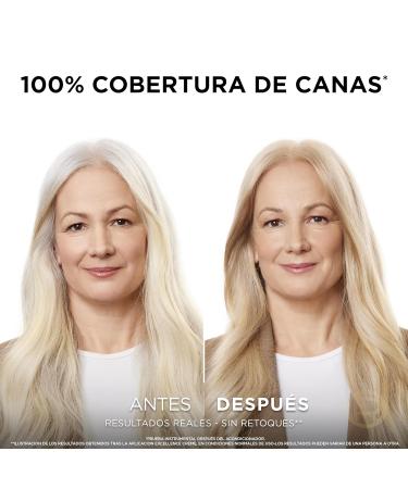 L'Or al Paris Excellence Cr me No. 01s - Triple Protection Hair Colourant | International Shipping Available - Buy Online on GoSupps.com