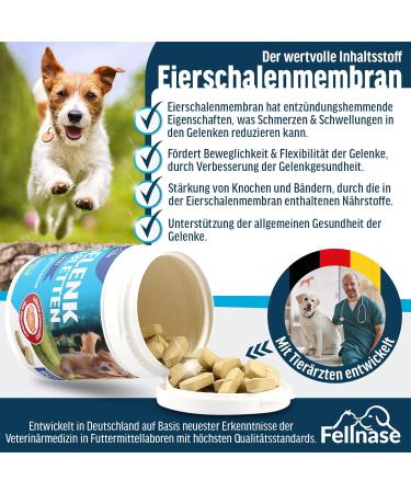 FELLNASE Joint Tablets for Dogs - Premium Food with Fully Transparent Recipe and Sugar Free - Premium Quality - Made in Germany - 100 Tablets - Buy Online on GoSupps.com