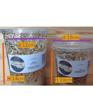 acomantis 16oz tub Flightless Fruit Flies (Drosophila Culture) Live Food - Buy Online on GoSupps.com