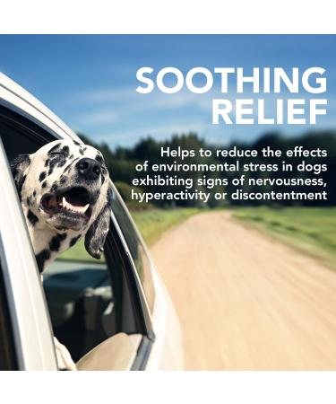 Vet's Best Comfort Calm Supplements for Dogs Helps Calm Dogs - Promotes Relaxation and Balanced Behavior - 60 Chewable Tablets - Buy Online on GoSupps.com