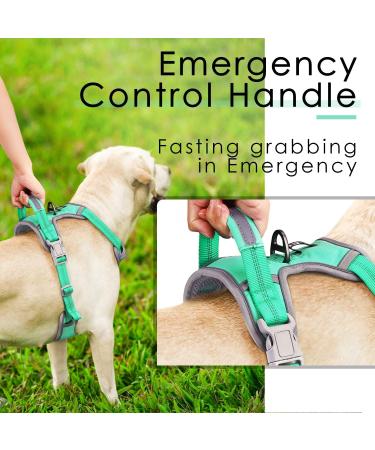Thinkpet Anti Zug Dog Harness | Adjustable No-Choke Control Harness with Handle | Reflective & Breathable Dog Gear (Large Blue-Green) - 1 Pack - Buy Online on GoSupps.com