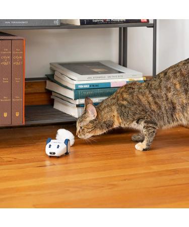 Kittio Robo Mouse: Interactive Cat Toy with Smart Steering Sensors - USB Charging - Buy Online on GoSupps.com
