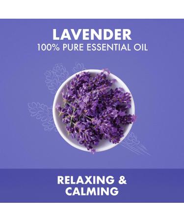 SheaMoisture Lavender Body Oil for Dry Skin - 100% Pure Essential Oil 0.45oz (Pack of 2) | Hydrating Skin Oil - Buy Online on GoSupps.com