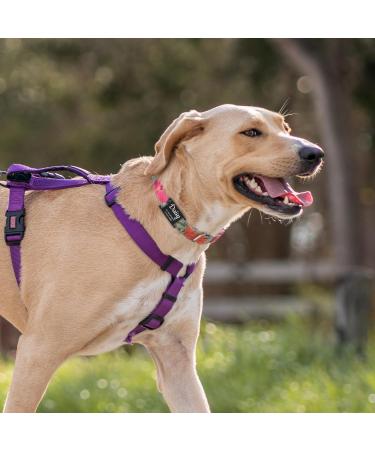 Personalized Gisurey Dog Tag - Engraved Durable & Noiseless Black Address Tag for Your Furry Friend - Buy Online on GoSupps.com