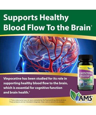 America Medic & Science Cavintona Advanced Supplement Vinpocetine 20mg for Memory Recall & Brain Health Supports Cognitive Function Focus Mental Clarity & Blood Flow 60 Capsules - Buy Online on GoSupps.com
