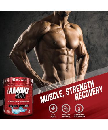 iSatori Bio-GRO Protein Synthesis Amplifier - Unflavored (60 Servings) & iSatori Amino-GRO BCAA Powder - Blue Razz Snow Cone (30 Servings) - Buy Online on GoSupps.com