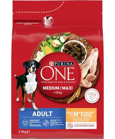 ONE Chicken/Rice Croquettes for Medium/Maxi Adult Dogs 10kg - 2.5kg Bag - Buy Online on GoSupps.com