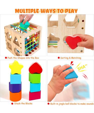 Hellowood Montessori Sorting Play Toy for 1-3 Years | Educational Wooden Motor Cubes & 8 Plug-in Blocks | International Shipping Available - Buy Online on GoSupps.com