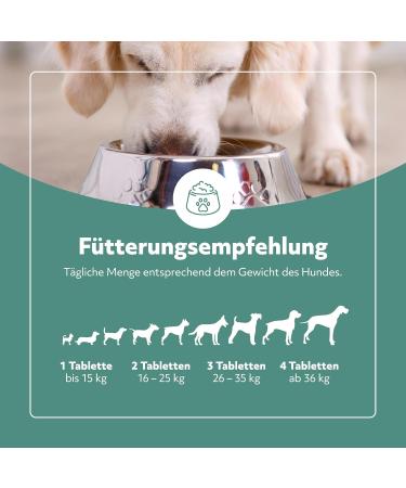 Balumed Skin + Fur for Dogs - 150 Tablets for Dermatosis & Hair Loss | Enhanced with Brewers Yeast MSM & Vitamins - Buy Online on GoSupps.com