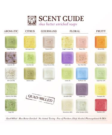 Pre de Provence Artisanal Green Tea Soap Bar - 5.3 oz | Organic Shea Butter, Quad Milled French Skincare for Moisturizing Lather - Buy Online on GoSupps.com