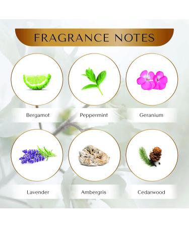 SOVEREIGN Inspired by creeds Green Irish Tweed Cologne - perfume dupes creed irish tweed - Fresh Woody Floral Musk with Lemon Violet & Sandalwood - Long-Lasting Fragrance for Men 100ml 3.4oz - Buy Online on GoSupps.com