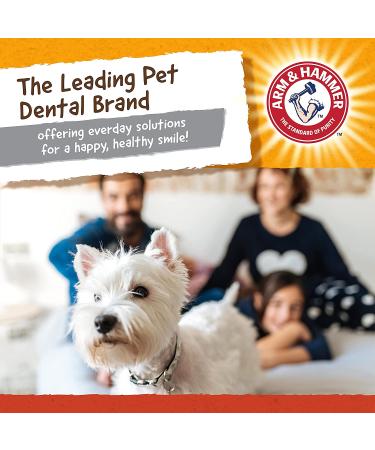 Arm & Hammer Treadz Gorilla Dental Toy for Strong Chewers - Small Size - Buy Online on GoSupps.com