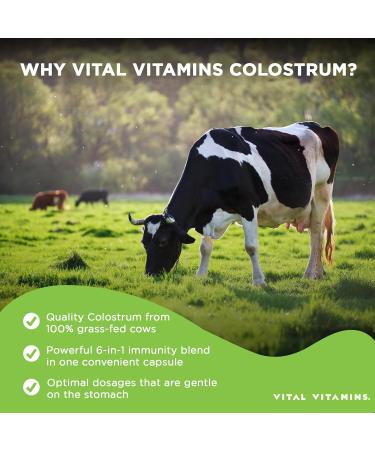 Vital Vitamins Multi Collagen Peptides Powder + Colostrum Capsules with Vitamin C Zinc - Buy Online on GoSupps.com