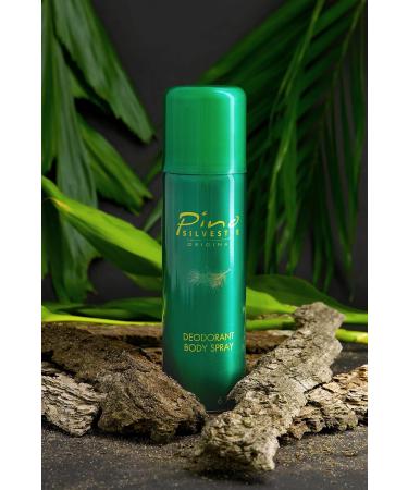 Pino Silvestre Deodorant Body Spray for Men - Long Lasting Sandalwood & Musk Fragrance - 6.7 Oz Cologne - International Shipping Available - Buy Online on GoSupps.com