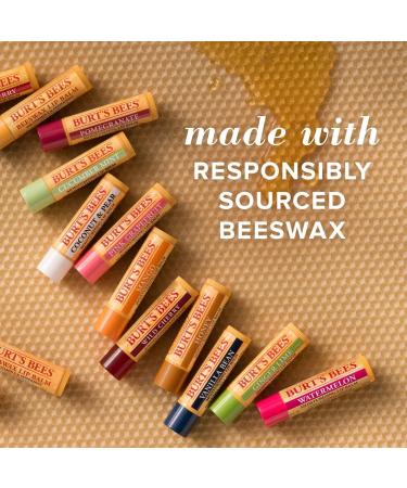 Burt's Bees 100% Natural Lip Balm 4-Pack & Intensive Night Care Bundle - Moisturizing Lip Care for Soft Lips - Buy Online on GoSupps.com