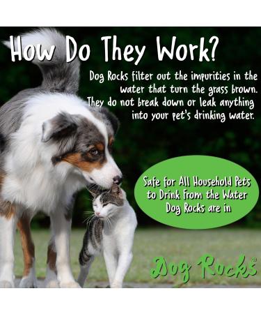 Dog Rocks 100% Natural Urine Patch Preventer - 200g Bag - Buy Online on GoSupps.com