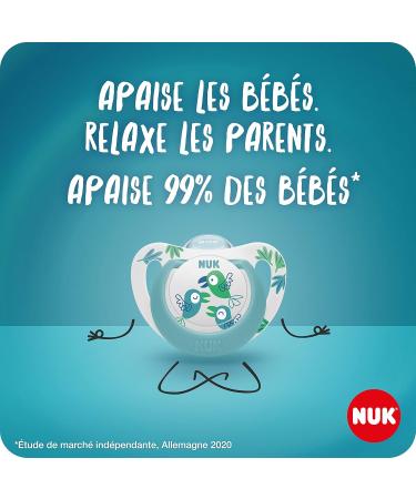 Nuk Star Baby Pacifier Night & Day 0-6 Months - Glow in the Dark BPA-Free Silicone Pink Cat Design 2 Pack for Girls - Buy Online on GoSupps.com