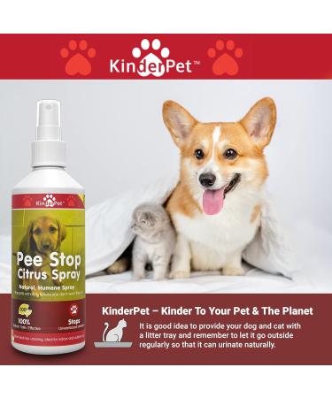 KinderPet Pee Stop Spray Urine Stop for Cat and Dog Repellent Stop Cats and Dogs Repeat Marking Indoors and Outdoors 100% Natural Enzyme Urine Destroyer 250ml - Buy Online on GoSupps.com