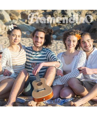 Framendino 5 Pack Hawaiian Amapola Flower Hair Clips - Artificial Orchid Barrettes - 5 Count (Pack of 1), Style A - Buy Online on GoSupps.com