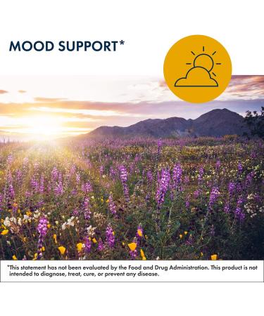 MetaCalm - Stress Regulation Formula with Methylated Folate Magnesium Glycinate GABA 5-HTP & L-Theanine - Mood Support & Relaxation | 90 Capsules - International Shipping Available - Buy Online on GoSupps.com