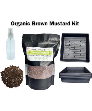 Brown Mustard Microgreen Kit - Organic Mustard Sprout Seeds - Indoor Microgreens Growing Kit Includes Seed Packets Growing Trays Spray Bottle Soil and Comprehensive Guide (100 Grams) - Buy Online on GoSupps.com