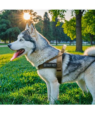 Excellent Elite Spanker Tactical Dog Dishes Vest - Adjustable Nylon Pet Dog Dishes for Small Medium & Large Dogs (Gray - L) - Buy Online on GoSupps.com