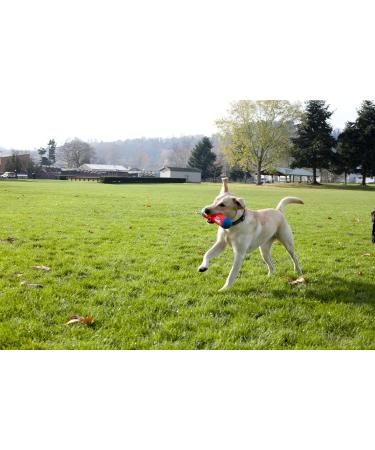 Chuckit! CH184301 Tumble Bumper Large - Durable Dog Toy for Fetch & Play | International Shipping Available - Buy Online on GoSupps.com